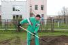 Участие ИПКиП в месячнике по уборке и благоустройству территорий БГПУ и республиканском субботнике